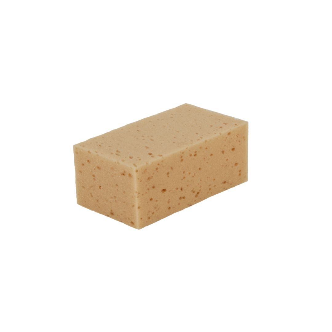 esponja